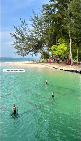 Borneo Adventure