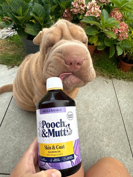 Salmon Oil