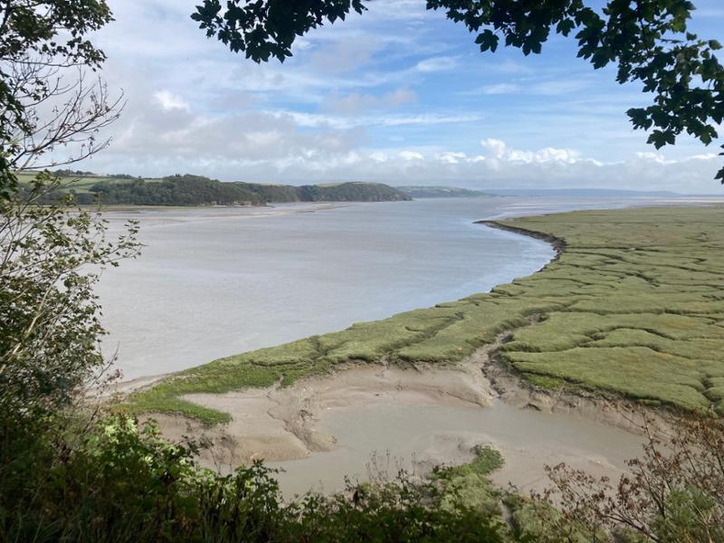 Wandering along the Carmarthen Coast