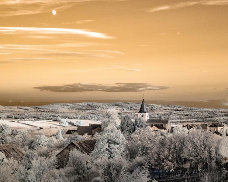 Misty Mornings, Sleepy Villages and Curious Characters - Rural Burgundy Photography Tour