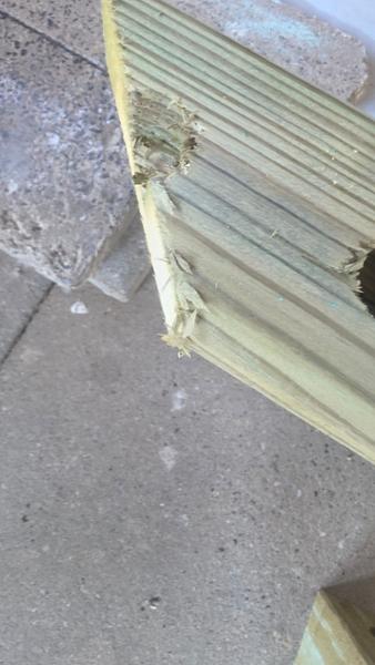 Schöner Hochteich, aber Material lässt zu wünschen übrig
