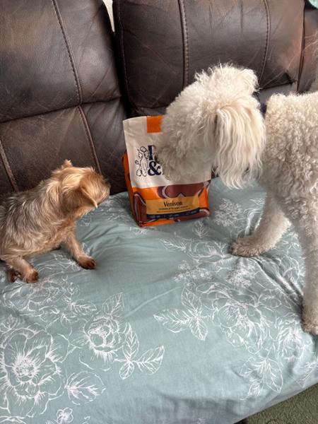High Protein Dry Dog Food | 80% Meat | 2kg | Primal Dog Food with High Meat Content | Pooch & Mutt | Novel Protein Dog Food with Wild Boar
