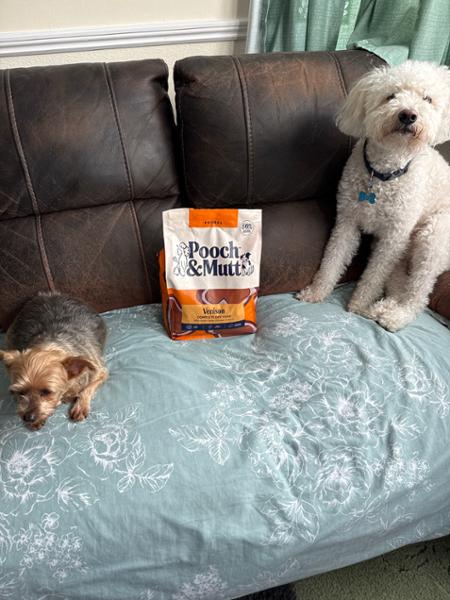 High Protein Dry Dog Food | 80% Meat | 2kg | Primal Dog Food with High Meat Content | Pooch & Mutt | Novel Protein Dog Food with Wild Boar