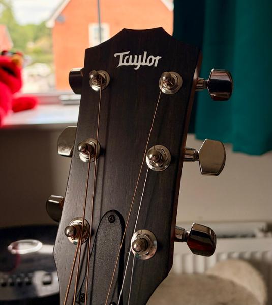 Taylor 214ce Plus Electro Acoustic in Natural