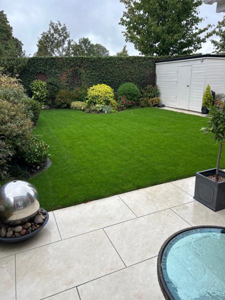 Brilliant grass
