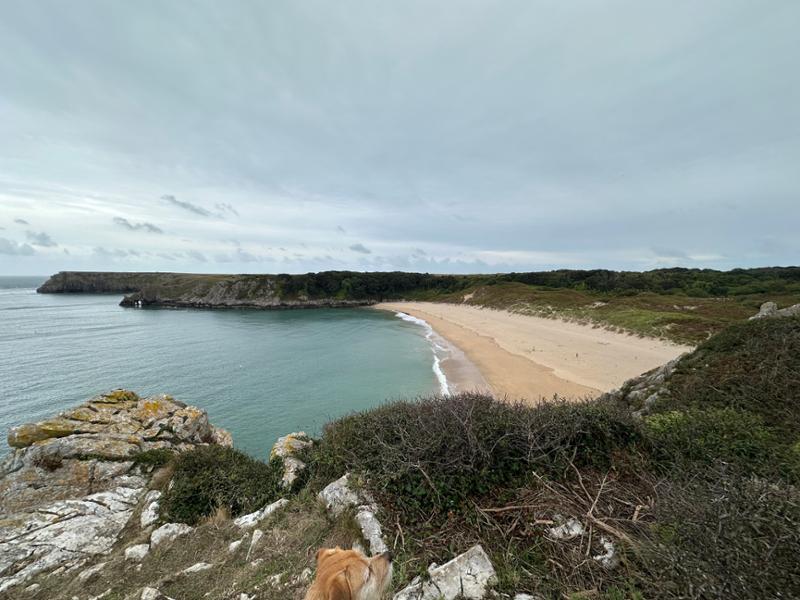 Stackpole Quay Cottage 2