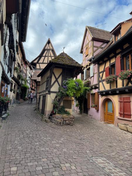 Castles along The Rhine