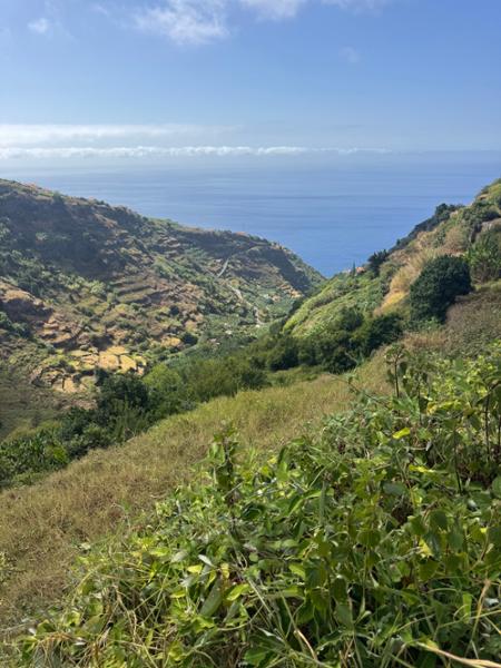 Walking in Madeira