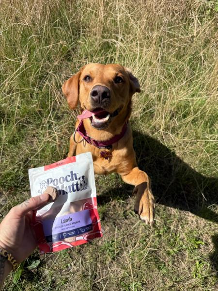 Lamb Freeze Dried Dog Treats | 40g | Pooch & Mutt | 96% Lamb Treats For Dogs | Grain-Free & Chicken-Free