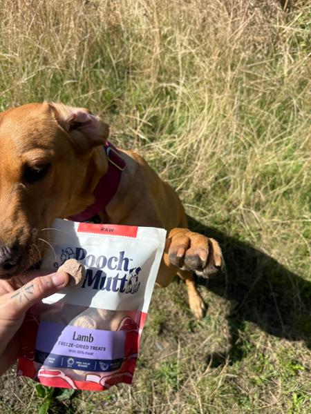 Lamb Freeze Dried Dog Treats | 40g | Pooch & Mutt | 96% Lamb Treats For Dogs | Grain-Free & Chicken-Free
