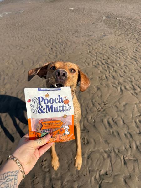 Postbiotic Pumpkin Treats For Dogs | Limited Edition | Pumpkin Spice Dog Treats | 120g | Pooch & Mutt | Grain-Free & Natural Ingredients