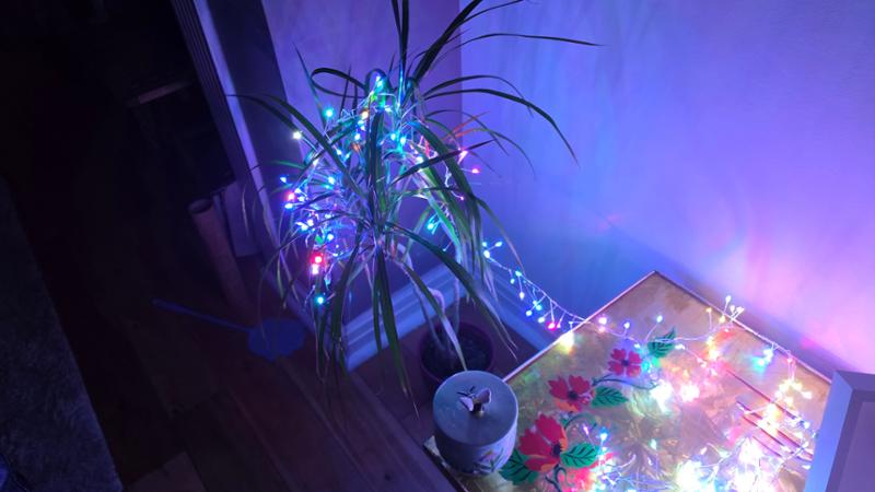 Sparkly rainbow fairy lights