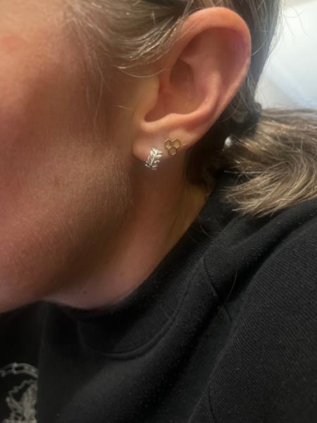 Fantastic earrings