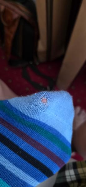 Holey moley