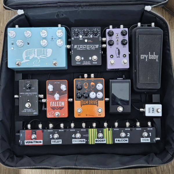 Crazy Tube Circuits White Whale Jr Analog Spring Reverb and Tremolo Pedal