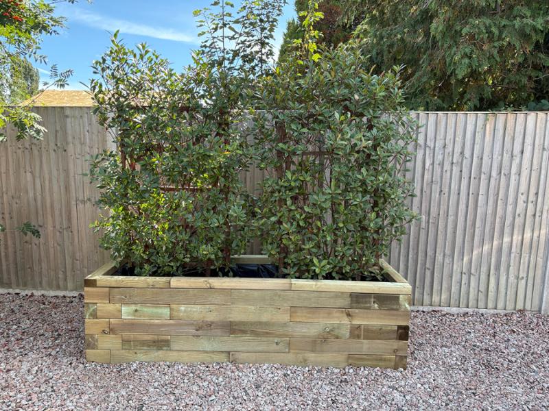 Large Raised Bed