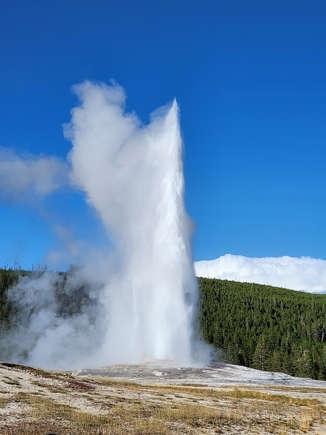 Yellowstone Discovery