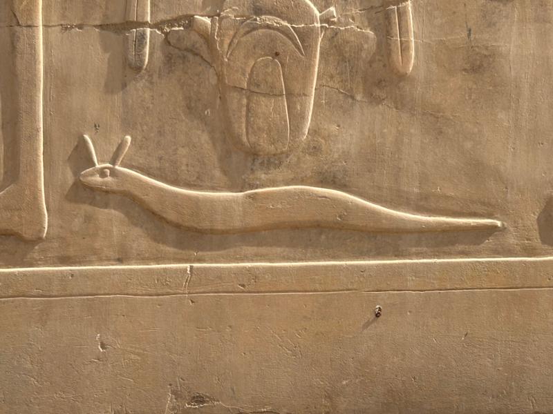 Classic Egypt with Nile Cruise + Red Sea Extension