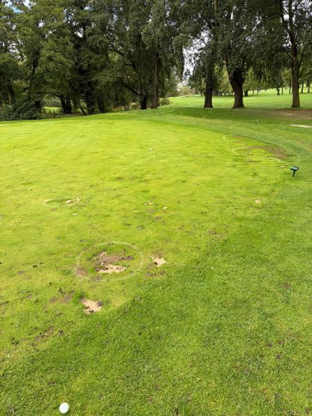 Shocking golf course