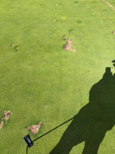 Shocking golf course