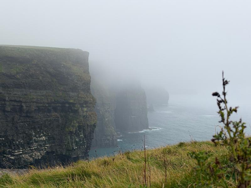 Irish Elegance