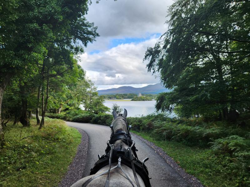 Best way to see Ireland 🇮🇪