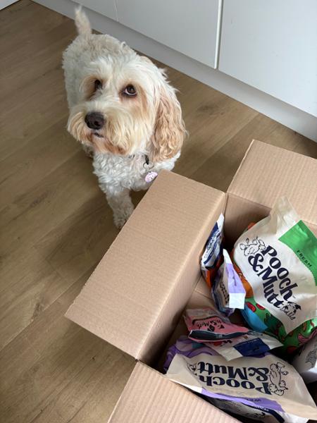 Food and treats