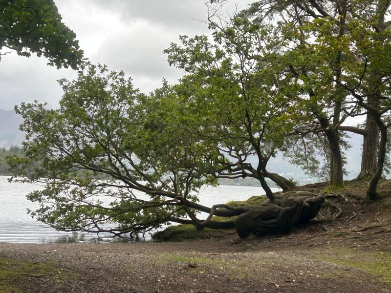 Your holiday: Northern Lake District  - Guided Walking