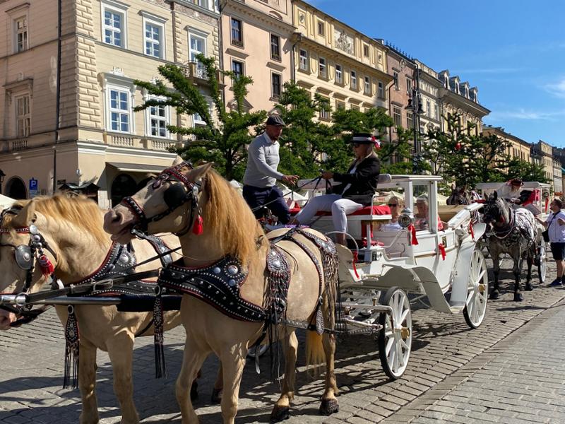Highlights of Poland
