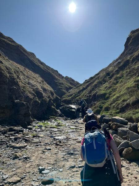 Your holiday: North York Moors  - Guided Walking