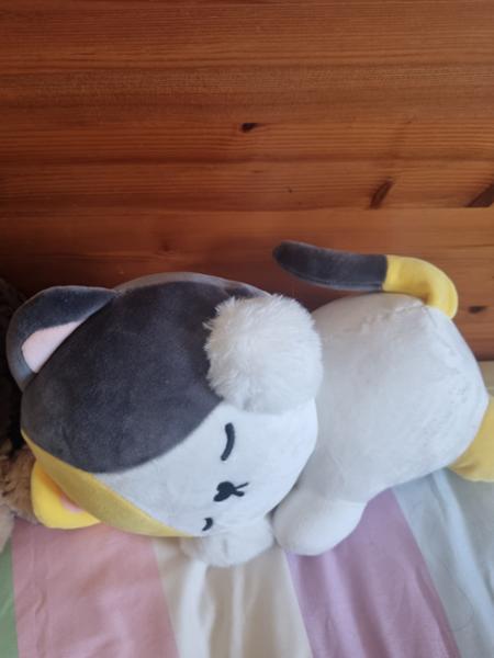 Kenji: Yabu Tiny-K Sleepy Lucky Large