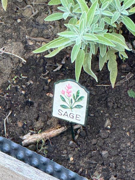 Set of Ten Herb Garden Markers