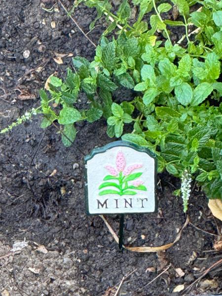 Set of Ten Herb Garden Markers