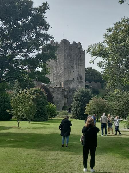 Irish Elegance