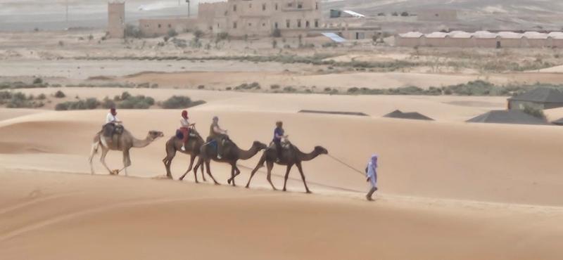 Treasures of Morocco