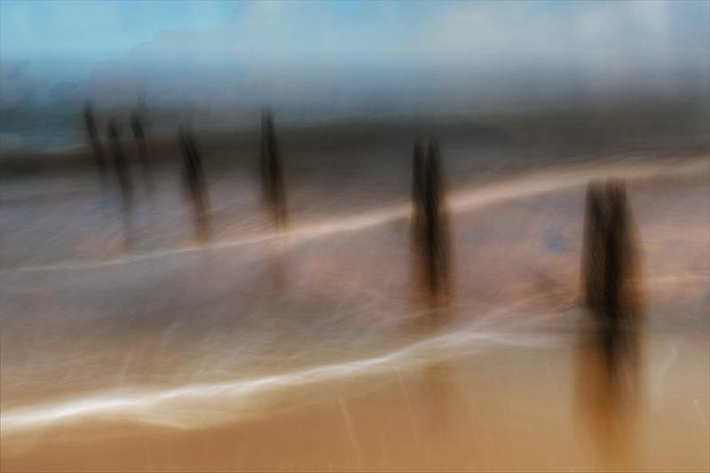 Norfolk Woodlands and Waves - Creative Photography Tour