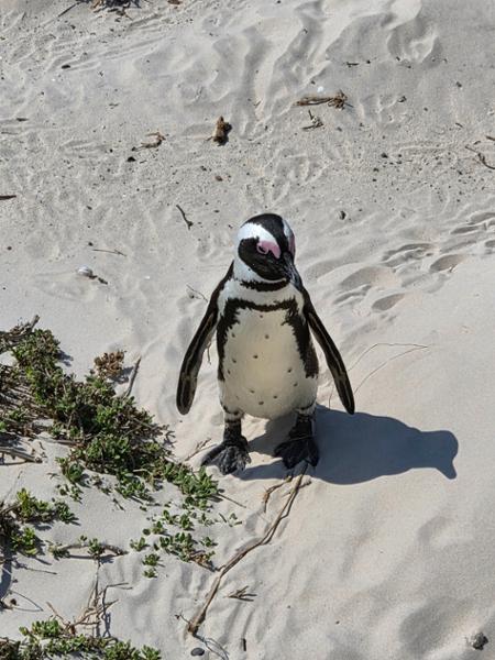 South Africa