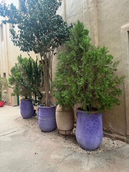 Shutter & Spice - A Vibrant Moroccan Journey