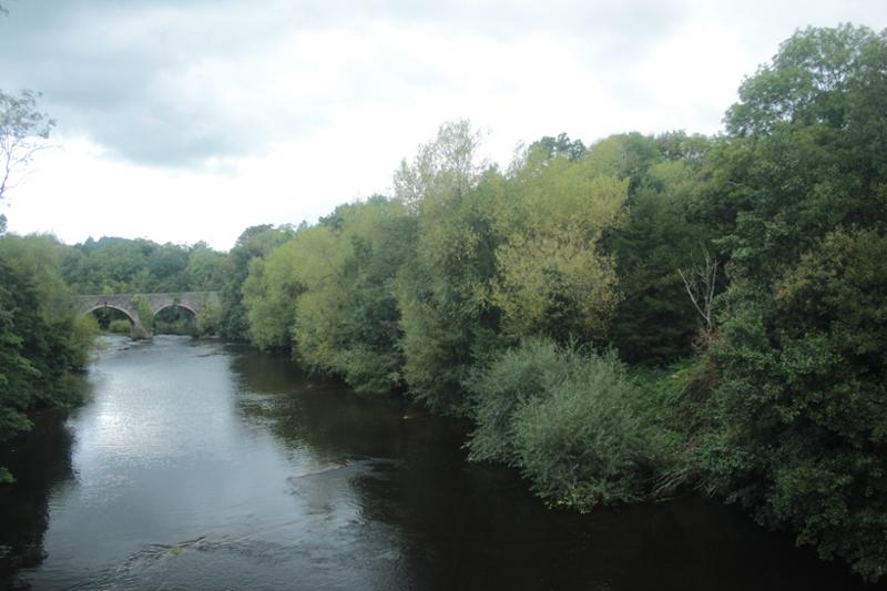 Peaceful and relaxing cruise in the Brecon canal