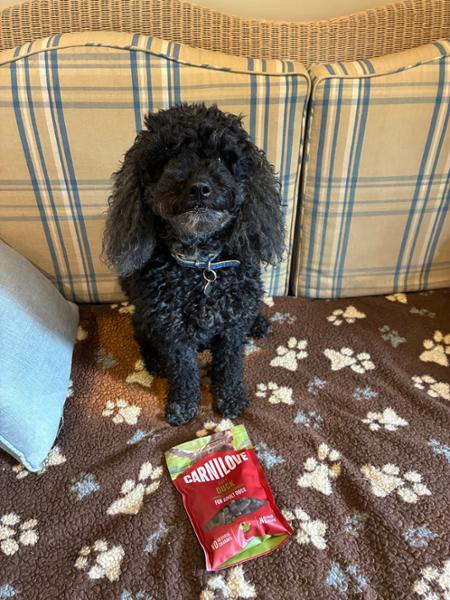 NEW Lamb with Cranberries Crunchy Dog Treats