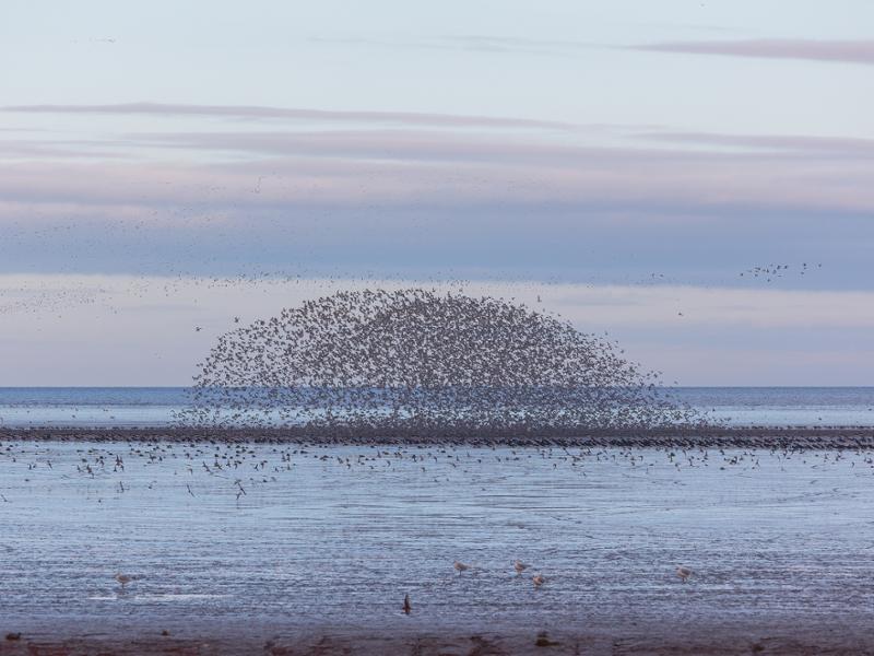 Norfolk Woodlands and Waves - Creative Photography Tour