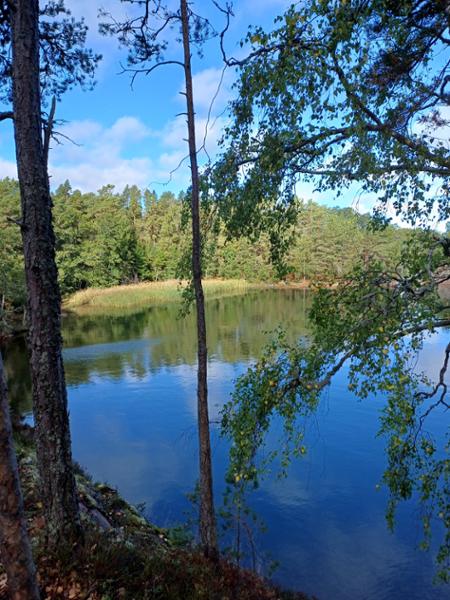 Walking in Finland and Sweden