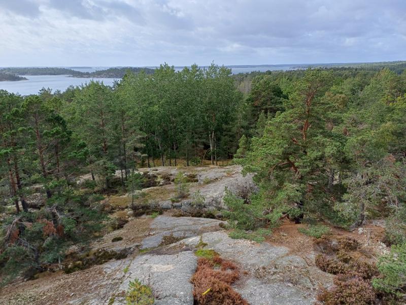 Walking in Finland and Sweden