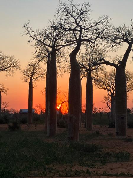 Madagascar Wilderness Trek