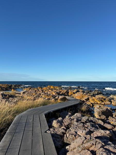Hotel Allinge