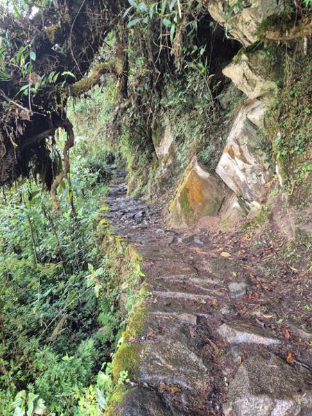 Walk Peru's Inca Trail and Palccoyo Rainbow Mountain