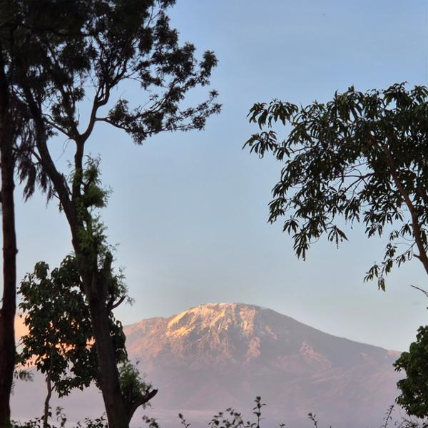 Kilimanjaro  2026