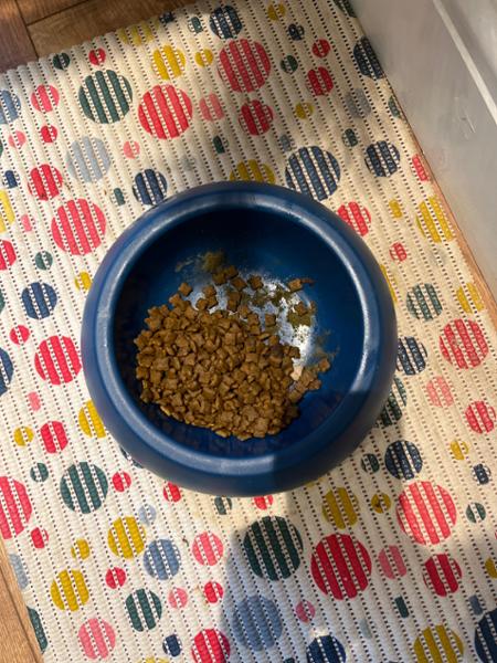 Lily's Kitchen Fresh Recipes Chicken with Pork | Adult Fresh Dog Food | Grain-Free Recipe | Cupboard Fresh | Made with Natural Ingredients | 300g