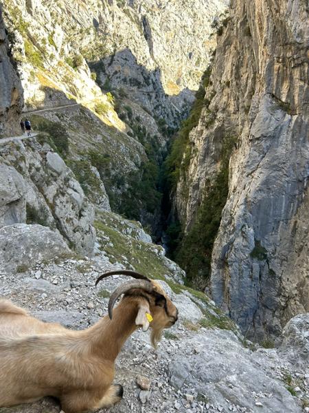 Trekking in Spain - Picos de Europa