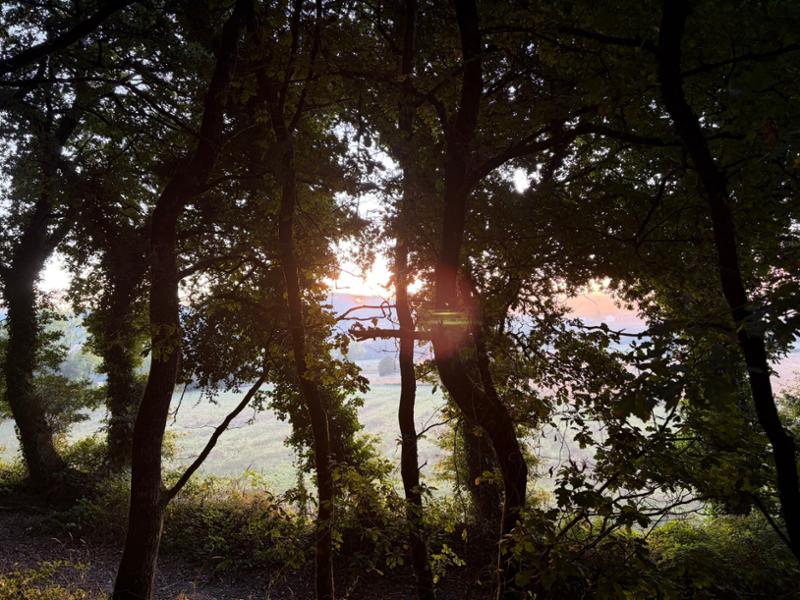 Walking the Camino de Santiago